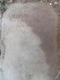image of grave number 495515